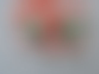 Colours of Christmas