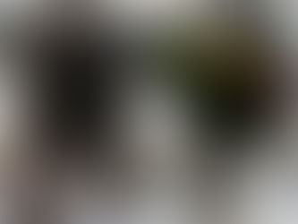 Foreldrabólkurin heiðraður á Pride 2025