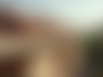 Why Choose Mabati for Quality Roofing Solutions?