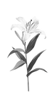 download (6)-Photoroom.png