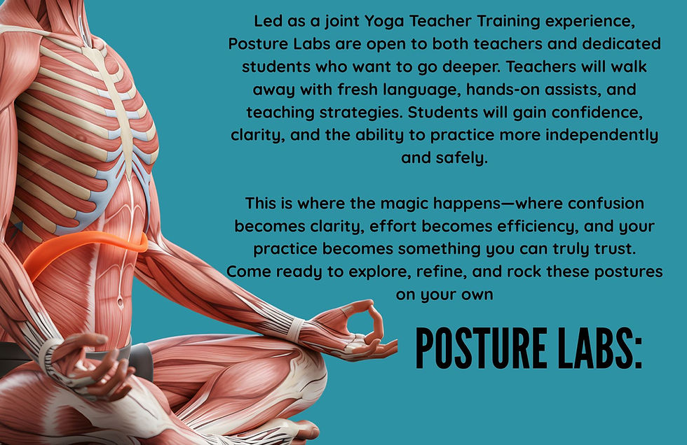 Posture Labs 2026 pg4.jpg