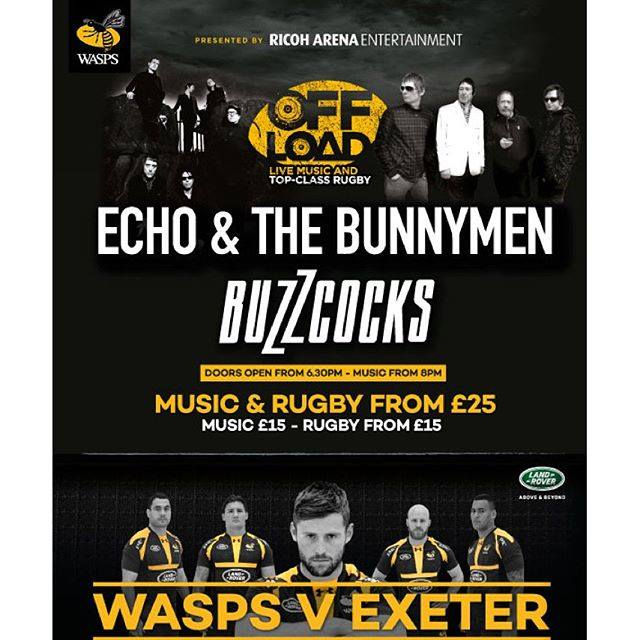 Echo and the Bunnymen & Buzzcocks 2015