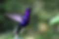 Testimonials Nancy Anderson Transformative Union Conscious Co-Creative Communication and Holistic Health Services and Information to Transform Your Life -- Energy Healing, Transformational LIfe / Spiritual / Health Coaching, Hypnotherapy, etc.