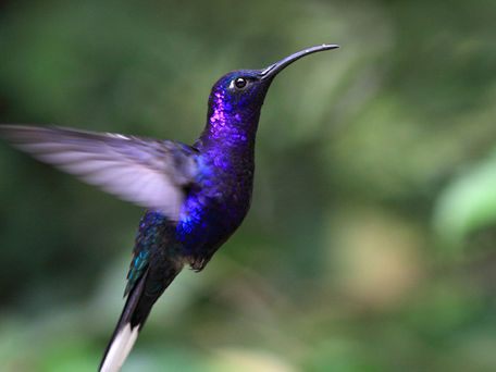 新年号の発表　新年度の開始　2019/4/1