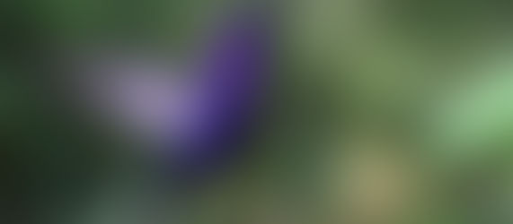 Αληθινή ελευθερία