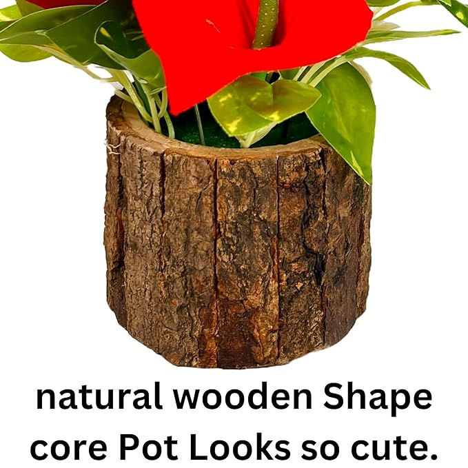 Thumbnail: Natural wooden shape core pot with cute plants and text. Shopizo