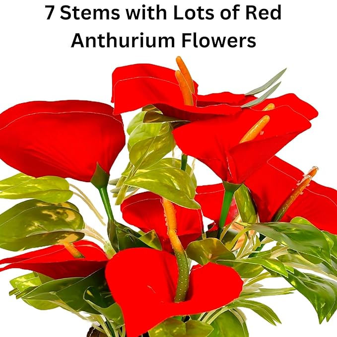 7 Stems with Lots of Red Anthurium Flowers, vibrant red with green leaves.