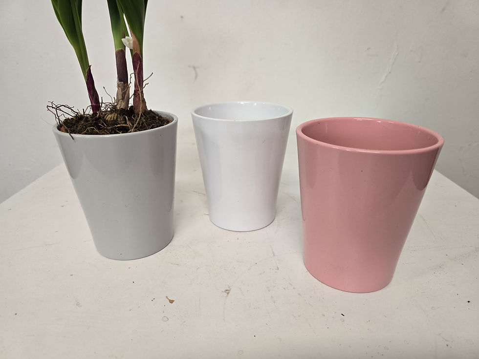 Miniature : Pot de muguet avec 5 pousses