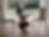 firenze-8067-tavolo-fisso-in-mdf-finitura-noce-canaletto-con-piano-in-vetro (1)_edited