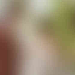 Jeunes mariés sur le balcon d'un chalet de montagne