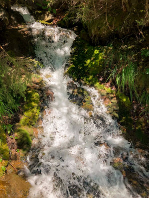 Un torrent en foret au printemps après la fonte des neiges en Haute Savoie