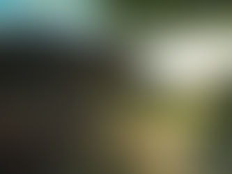 Lors d'un séminaire au vert dans un chalet de montag e un homme médite sur la terrasse au lever du soleil face au Mont-Blanc.