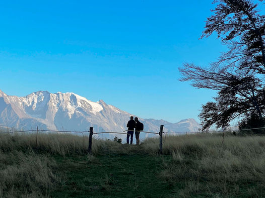 view of Mont Blanc, mountain pasture, mountain panorama