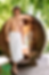 DSC_6042 copie_edited.png
