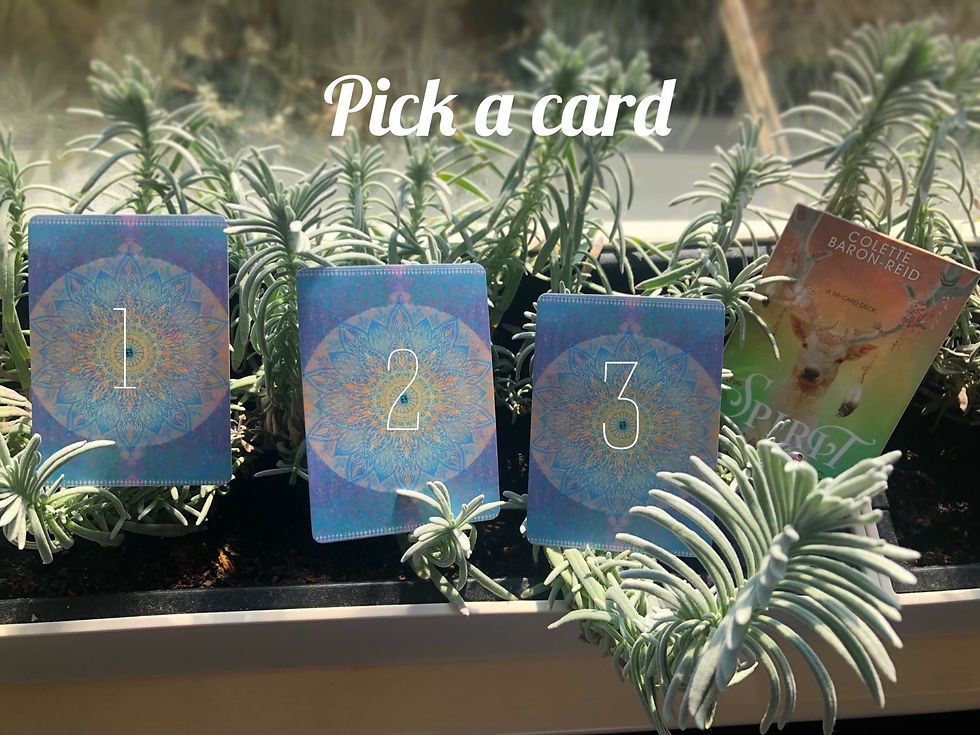 Pick-a-Card reading for another Ashram Monday’s at Himan Kintsugi, Nottingham, Uk