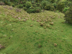 Preparing For Planting