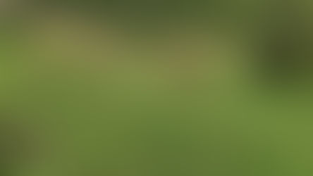 Preparing For Planting