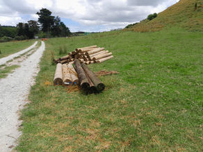 PoleSpecs Donate Timber