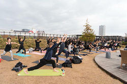 49767985_1176644639178167_41437626674016