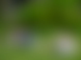 区切りの7月!残りの半分どう過ごすか。今月のクラススケジュールです!