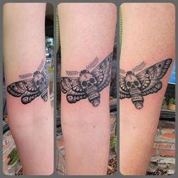 Death moth