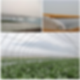 Greenhouse Wall Film