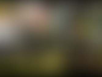 Collaboration with WEST BEACH (FILM) FESTIVAL