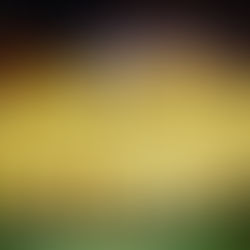 Tips al momento de elegir los Bocaditos