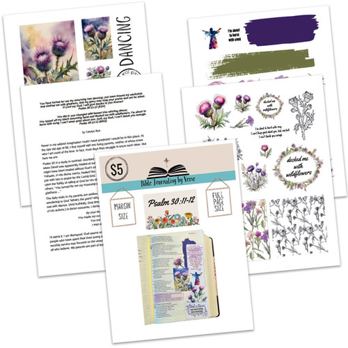 Psalm 30 11 12 Explained Psalm 30 11 12 Explained