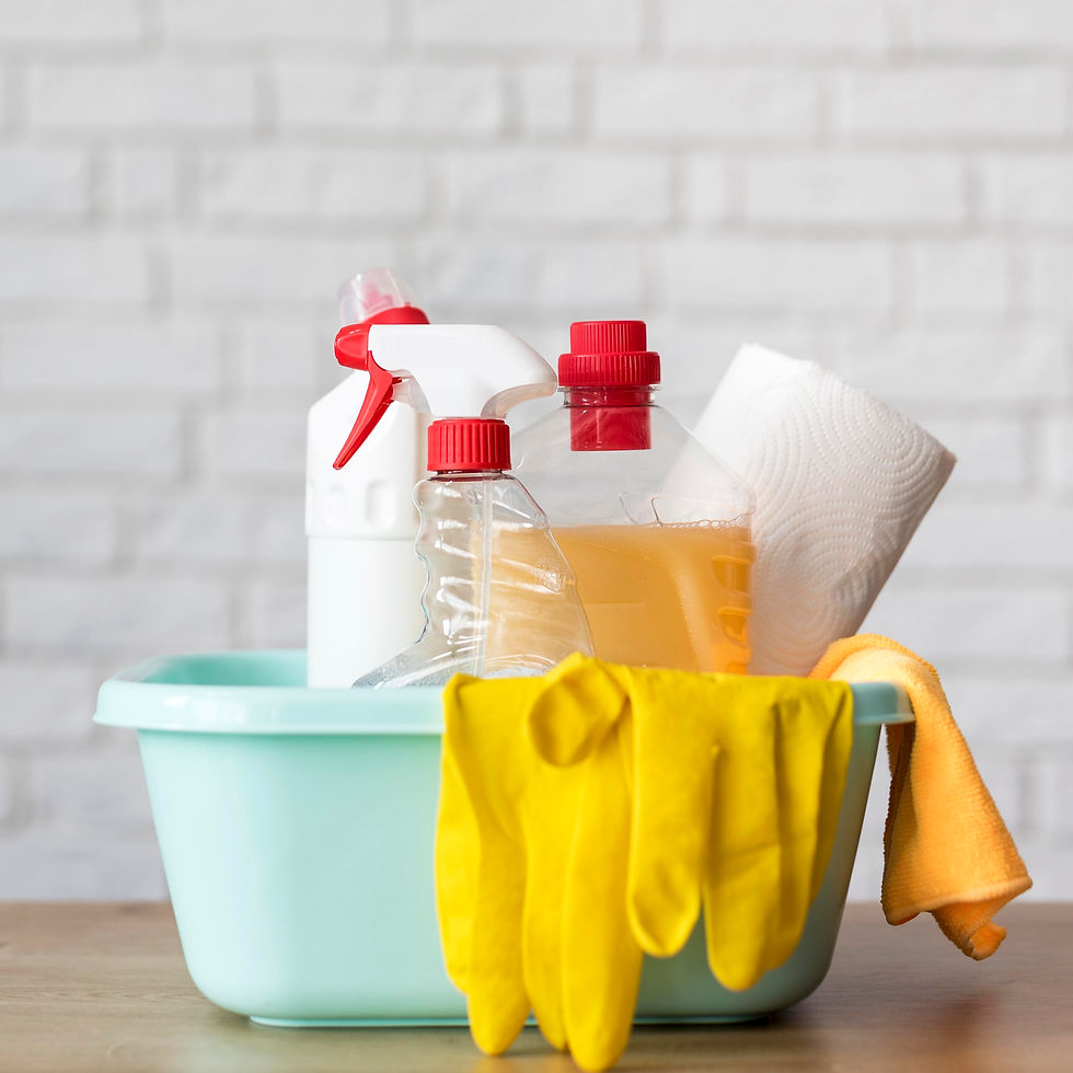 eco-friendly cleaning products