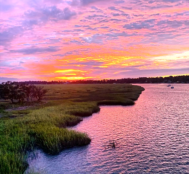 Best dolphin tour on hilton head island,