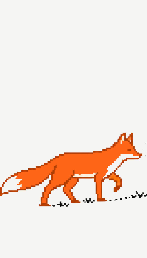 Just fox walking_edited