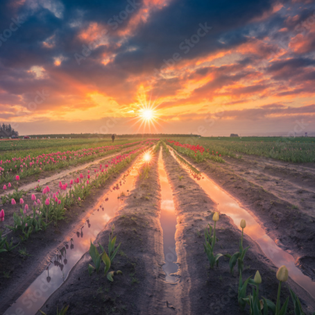 Changing Mental Health Stigmas