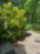 patio.jpg