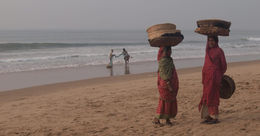 IMG-20230208-WA0376