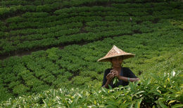 IMG-20230208-WA0144
