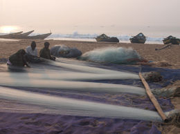 IMG-20230208-WA0375