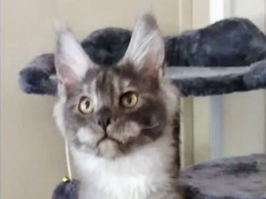 princess penelope_edited_edited.jpg