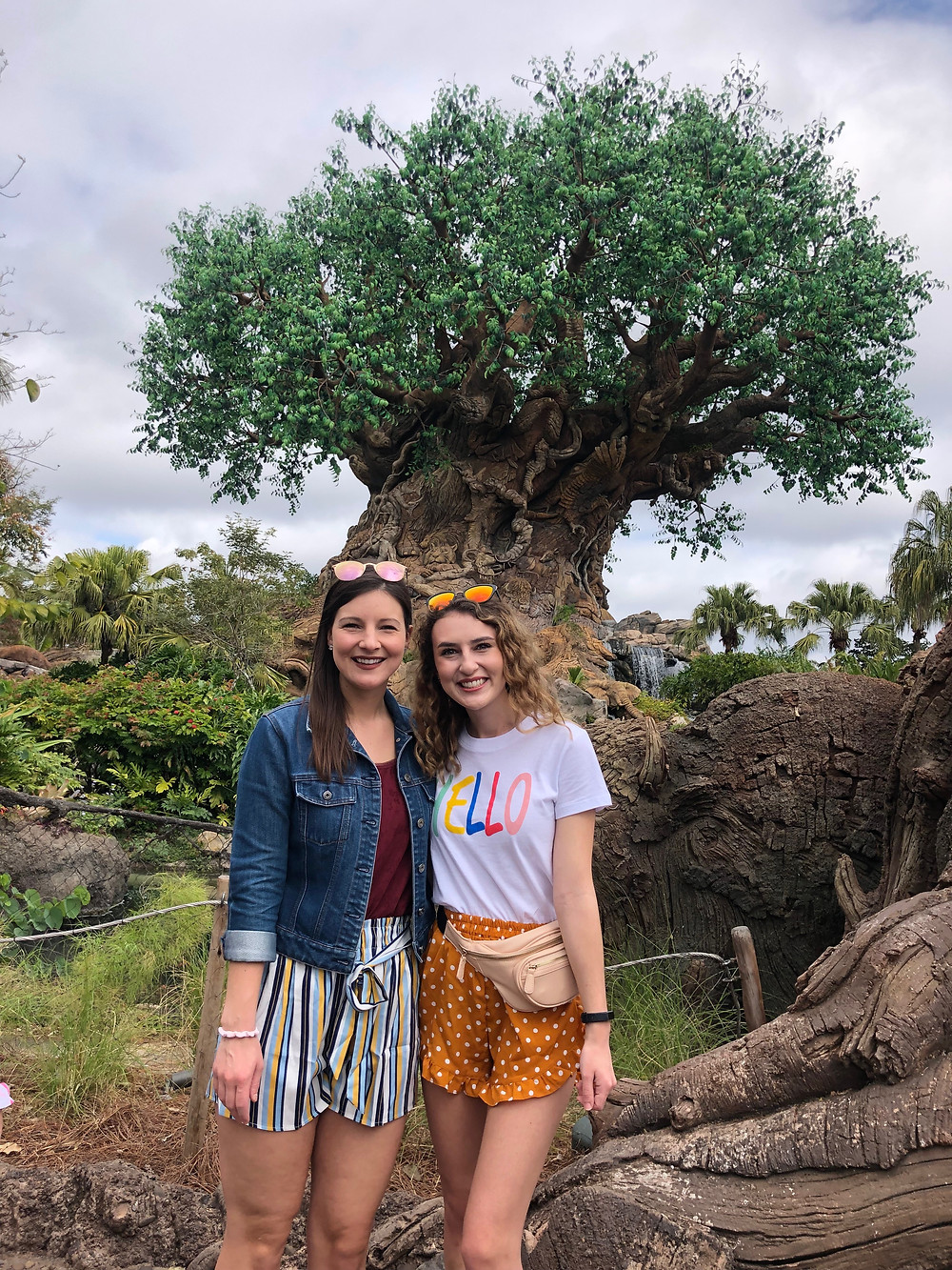 Abby Graf, Kalen gRaf, ANimal Kingdom