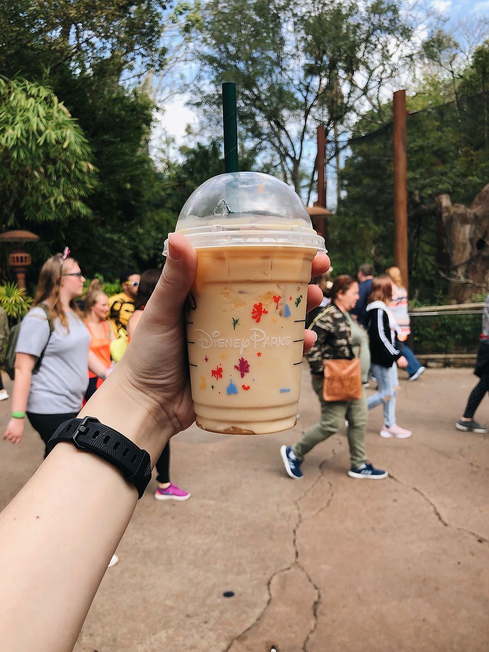 Starbucks Animal Kingdom Disney Parks
