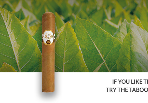 Oliva Conn Reserve Churchill