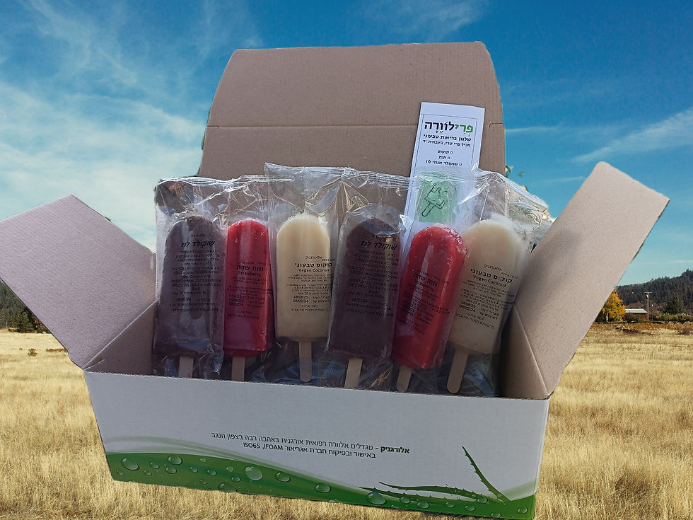 תמונה ממוזערת: פְּרִילוֹוֶרָה Prilovera שישיית שלגוני בריאות טבעוני