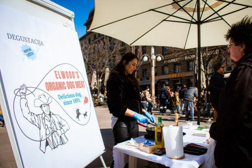 Activists doing dog meat tastings