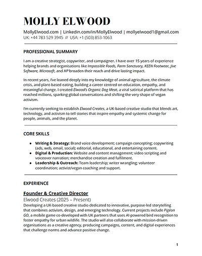 molly-elwood-cv-screenshot.png