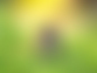 Elwood's Knows Humane Harvest