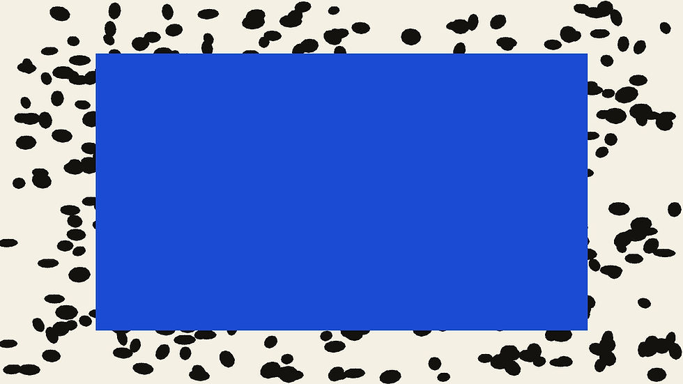 dalmatian_wallpaper_1920x1080 (1).jpg