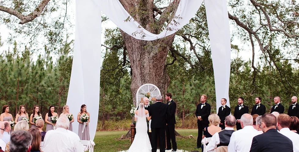 Wedding Venue With Lodging Georgia Twin Oaks Farm Weddings Twin Oaks Farm Tree Ceremony