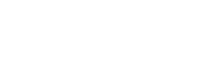 Seawolf-Cleaning-Services-Linear-Logo-Transparent-Background-White.png