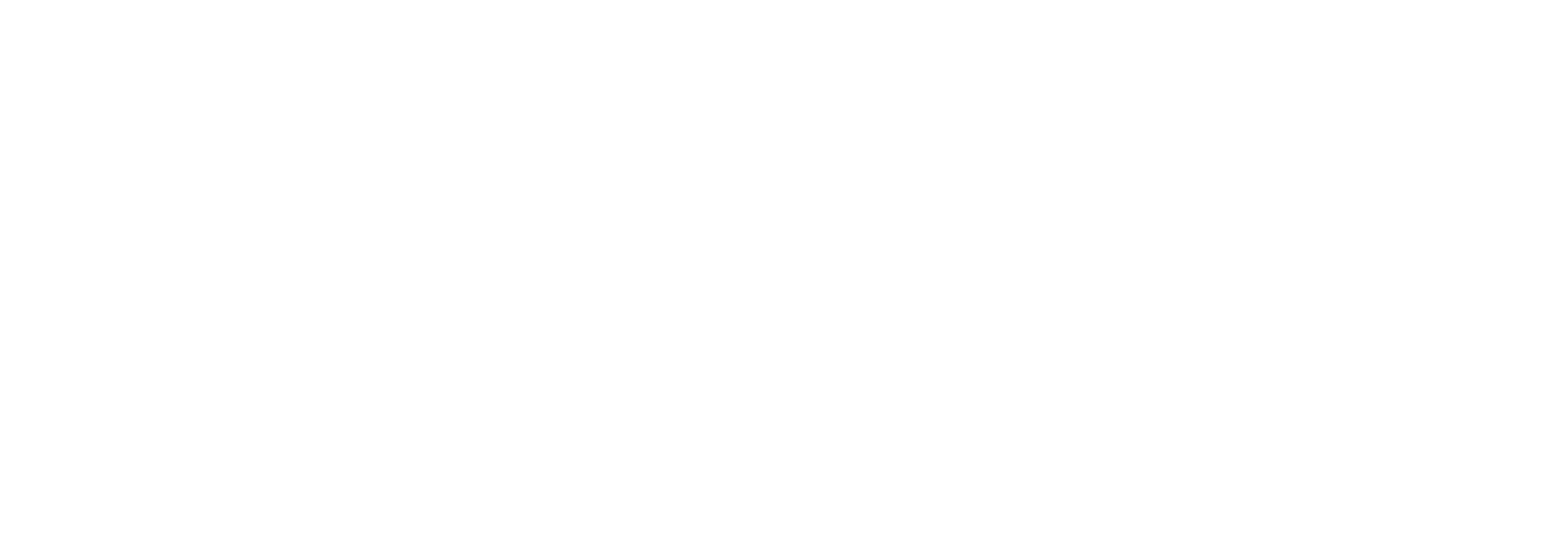 Seawolf-Cleaning-Services-Linear-Logo.png