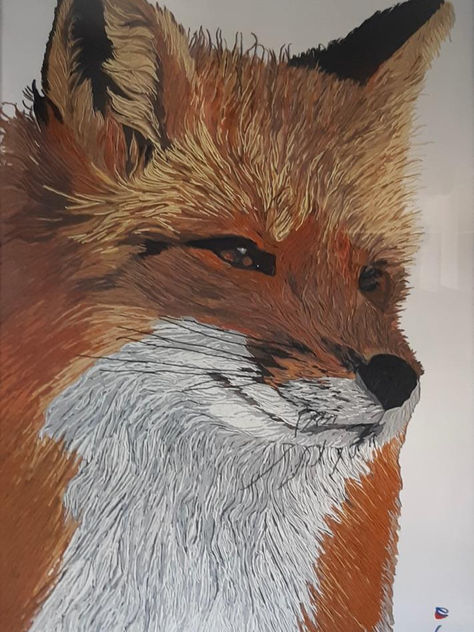 Renard   